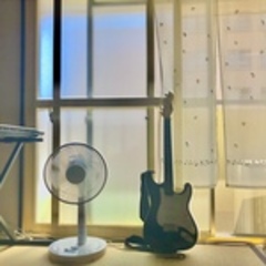 波屋