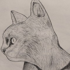 MoNo