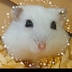 とうふ・ω・