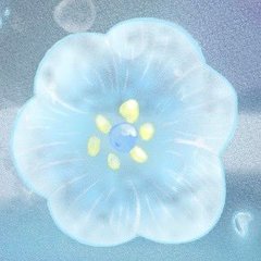 儚夢きゅう
