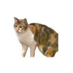 撃つな