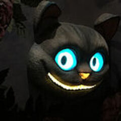 oBABYo