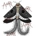 Funeral Moth
