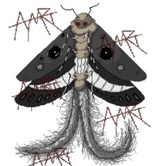 Funeral Moth