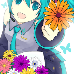 オステオスペルマム