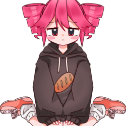 パーカーテト(透過)