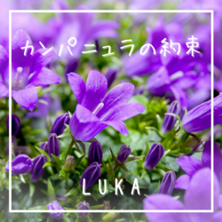 ジャケット画像