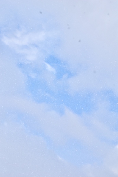 イラスト