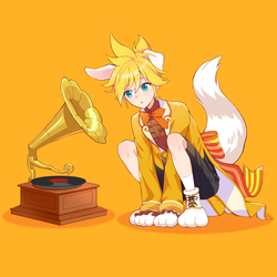 初めて聴く音楽