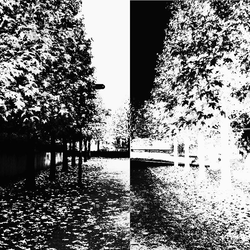 WhiteBlack＆MonoChromeStreet　(Desktop 1280 X 800 Ver)