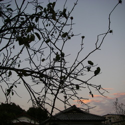 A sunset 2009 Autumn 02