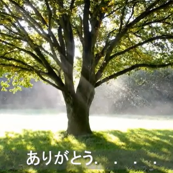 ありがとう　サムネイル