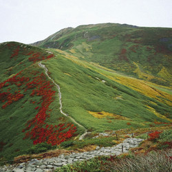 赤と緑と黄色に彩られた月山の景色