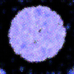 よくわからなくなったなにか【背景用】