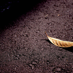 ただ其処に・・・