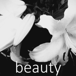 ジャケット画像