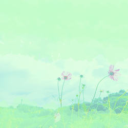 那由歌EPカード