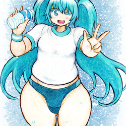 ブルマ姿のミクちゃん