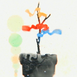 七色のダイバー