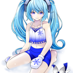 雪ミクが水着を着たっていいじゃない