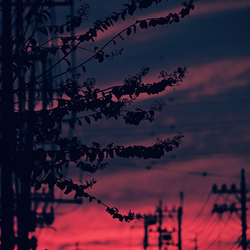 只々夕陽の朱を見た