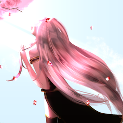 桜下で