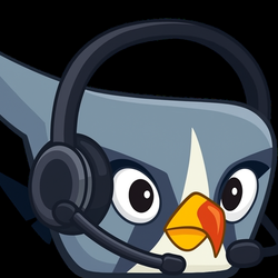 SILVER WEARING  HEADSET