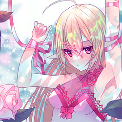 花園_B