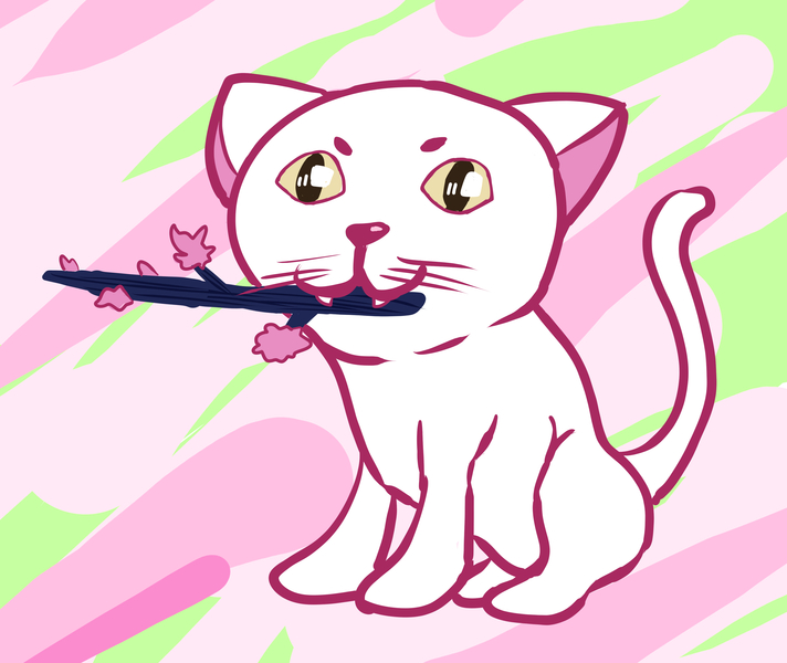 ジャケット