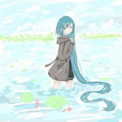 今年の夏の池はとても美しいですね。