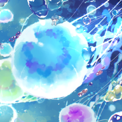 jellyfish