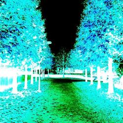 ShineeAquaStreet　(Desktop 1280 X 800 Ver)