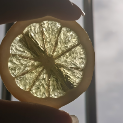 澄んだ夏日（Cover）