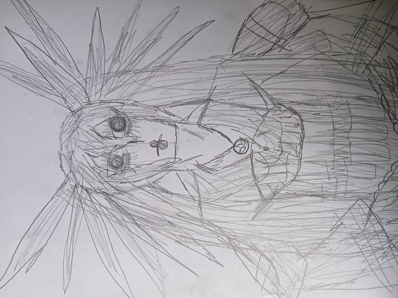 イラスト