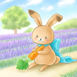 夏毛のユキネとラベンダー園