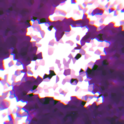 ジャケット画像