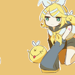 リンちゃんと鳥たち