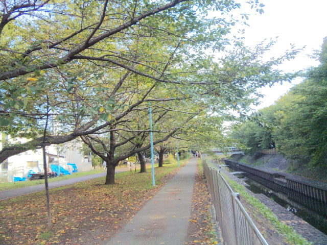 Piapro ピアプロ イラスト 川沿いの散歩道１