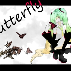 butterfly