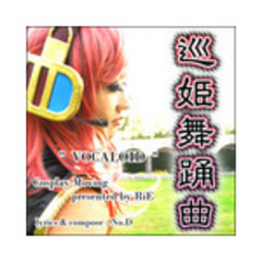 DVD-ROM